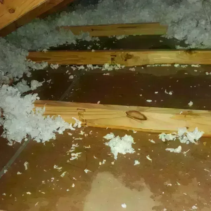 Attic Water Damage in Cologne, MN