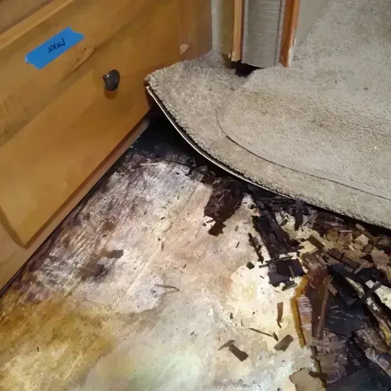 Wood Floor Water Damage in Cologne, MN